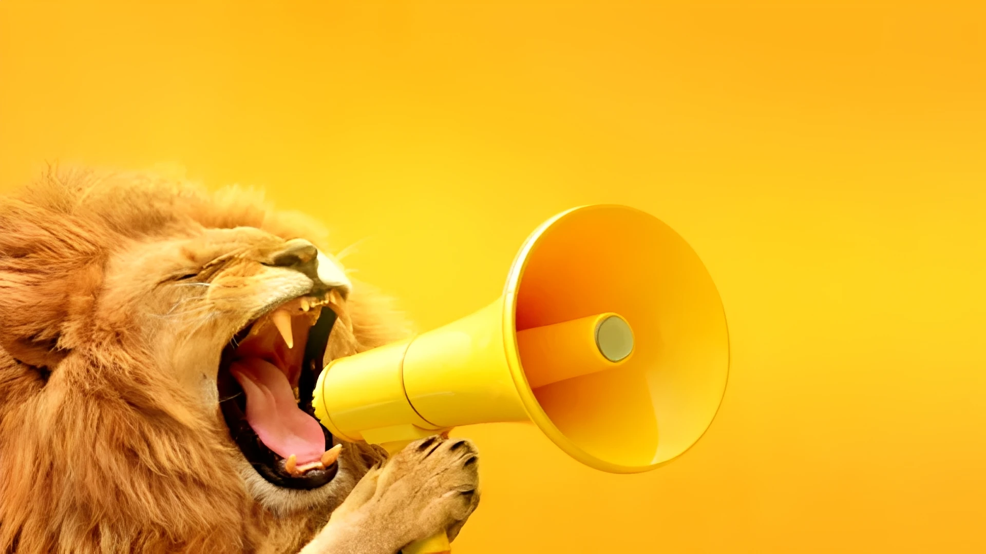 ネットショップ集客はどうやればいい?