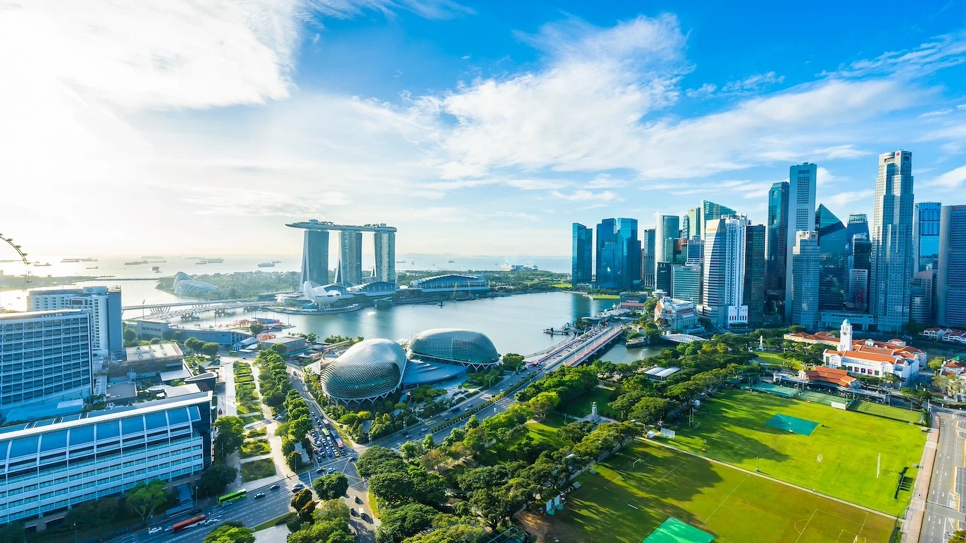 Shopee無在庫輸出で月商達成ツールとAI活用による利益最